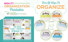 GIVEAWAY: Clean Mama...