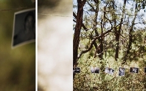 A Rustic Outdoor Wedding in...