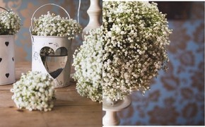 Flower School – Wonderful...