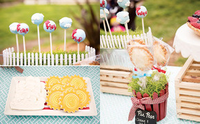 Vintage Inspired Barnyard...