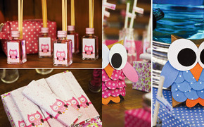 Sweet Pink & Blue Owl...