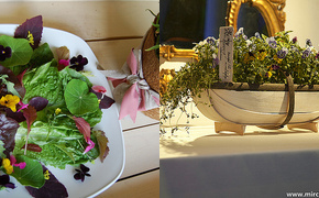 Celebrate Vegetarian Week...