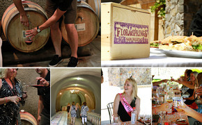 Real Wine Tasting...