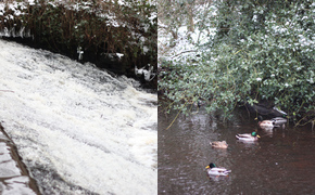 My Photography Diary: A...