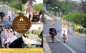 12 Wedding Limo...