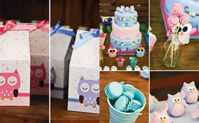Sweet Pink & Blue Owl...