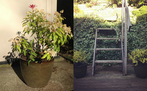 365 Happiness Project –...