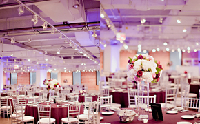 Contemporary Purple + White...