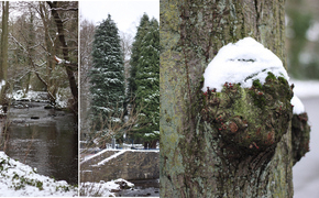 My Photography Diary: A...