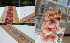 Top Tips – Non Flower...