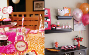 Cute Kitty Cat Party...