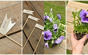 DIY Pansy Favors