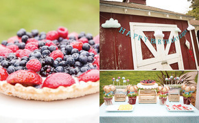 Vintage Inspired Barnyard...