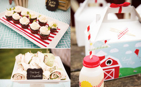 Vintage Inspired Barnyard...