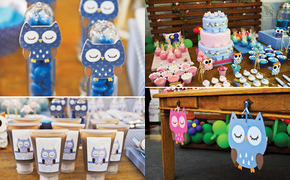 Sweet Pink & Blue Owl...