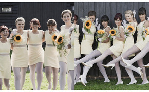 Real Vintage Sunflower...