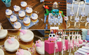 Sweet Pink & Blue Owl...